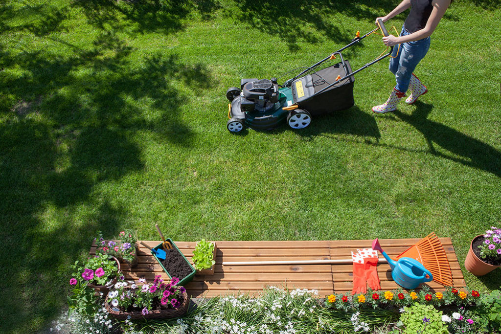 Eliminate Mosquitoes from Your Yard